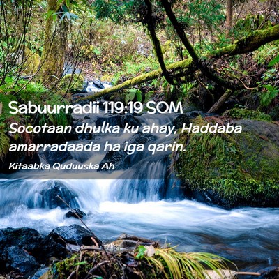 Picture 02 - Sabuurradii 119:19 SOM - Socotaan dhulka ku ahay, Haddaba amarradaada ha - Bible Verse Picture