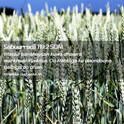 Picture 02 - Sabuurradii 119:2 SOM - Waxaa barakaysan kuwa dhawra markhaatifurkiisa, - Bible Verse Picture