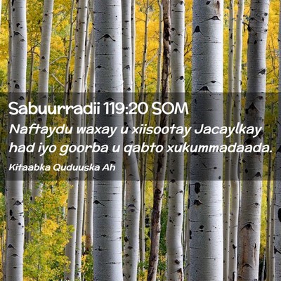 Picture 02 - Sabuurradii 119:20 SOM - Naftaydu waxay u xiisootay Jacaylkay had iyo - Bible Verse Picture
