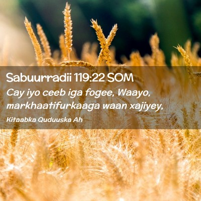 Picture 02 - Sabuurradii 119:22 SOM - Cay iyo ceeb iga fogee, Waayo, markhaatifurkaaga - Bible Verse Picture