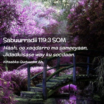 Picture 02 - Sabuurradii 119:3 SOM - Haah, oo xaqdarro ma sameeyaan, Jidadkiisase way - Bible Verse Picture