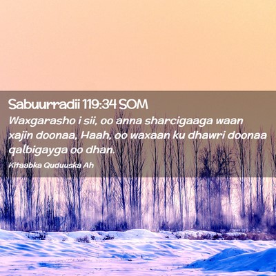 Picture 02 - Sabuurradii 119:34 SOM - Waxgarasho i sii, oo anna sharcigaaga waan xajin - Bible Verse Picture