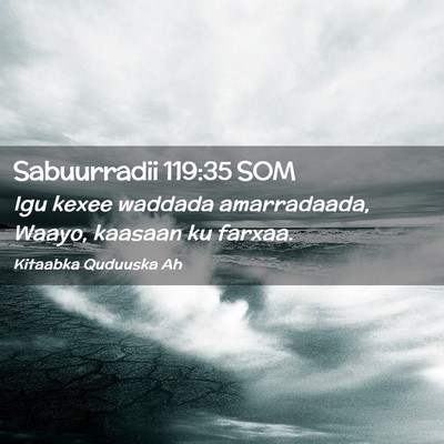 Picture 02 - Sabuurradii 119:35 SOM - Igu kexee waddada amarradaada, Waayo, kaasaan ku - Bible Verse Picture