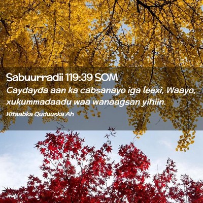 Picture 02 - Sabuurradii 119:39 SOM - Caydayda aan ka cabsanayo iga leexi, Waayo, - Bible Verse Picture