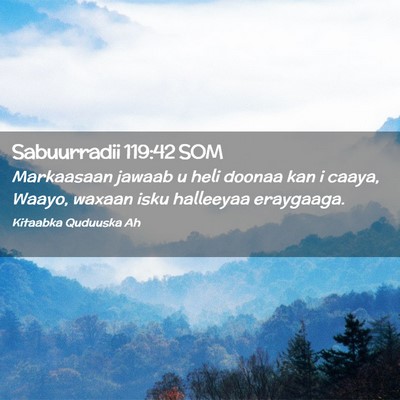 Picture 02 - Sabuurradii 119:42 SOM - Markaasaan jawaab u heli doonaa kan i caaya, - Bible Verse Picture