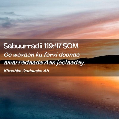 Picture 02 - Sabuurradii 119:47 SOM - Oo waxaan ku farxi doonaa amarradaada Aan - Bible Verse Picture