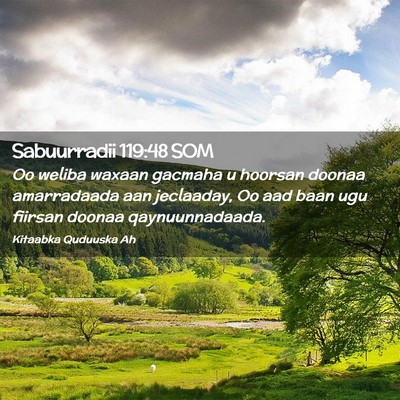 Picture 02 - Sabuurradii 119:48 SOM - Oo weliba waxaan gacmaha u hoorsan doonaa - Bible Verse Picture