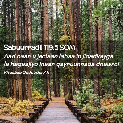 Picture 02 - Sabuurradii 119:5 SOM - Aad baan u jeclaan lahaa in jidadkayga la - Bible Verse Picture