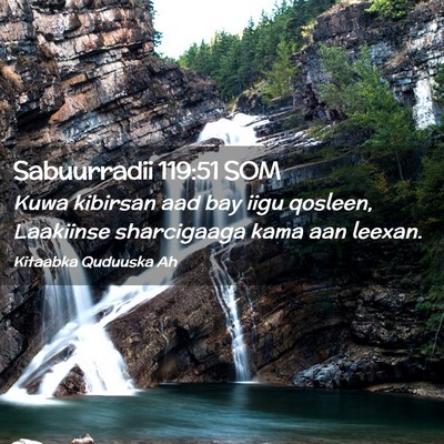 Picture 02 - Sabuurradii 119:51 SOM - Kuwa kibirsan aad bay iigu qosleen, Laakiinse - Bible Verse Picture