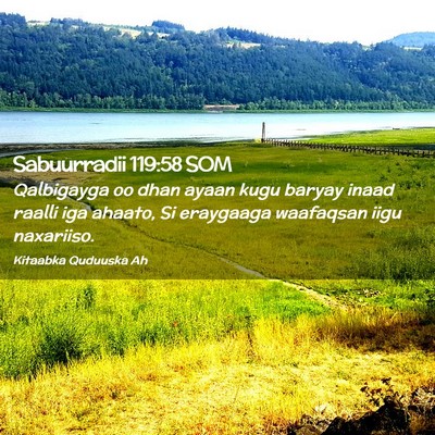 Picture 02 - Sabuurradii 119:58 SOM - Qalbigayga oo dhan ayaan kugu baryay inaad raalli - Bible Verse Picture