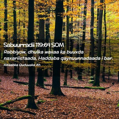 Picture 02 - Sabuurradii 119:64 SOM - Rabbiyow, dhulka waxaa ka buuxda naxariistaada, - Bible Verse Picture