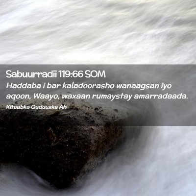 Picture 02 - Sabuurradii 119:66 SOM - Haddaba i bar kaladoorasho wanaagsan iyo aqoon, - Bible Verse Picture