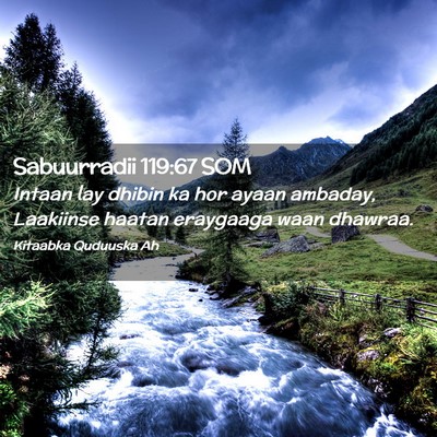 Picture 02 - Sabuurradii 119:67 SOM - Intaan lay dhibin ka hor ayaan ambaday, Laakiinse - Bible Verse Picture