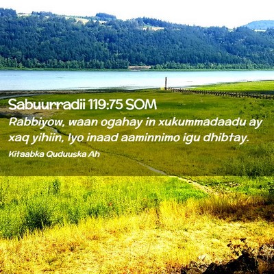 Picture 02 - Sabuurradii 119:75 SOM - Rabbiyow, waan ogahay in xukummadaadu ay xaq - Bible Verse Picture