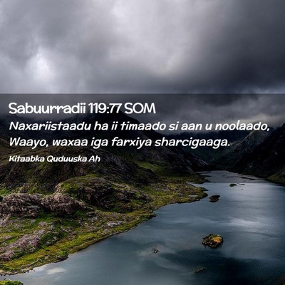 Picture 02 - Sabuurradii 119:77 SOM - Naxariistaadu ha ii timaado si aan u noolaado, - Bible Verse Picture