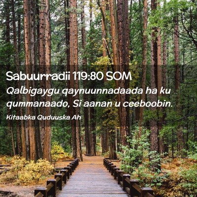 Picture 02 - Sabuurradii 119:80 SOM - Qalbigaygu qaynuunnadaada ha ku qummanaado, Si - Bible Verse Picture
