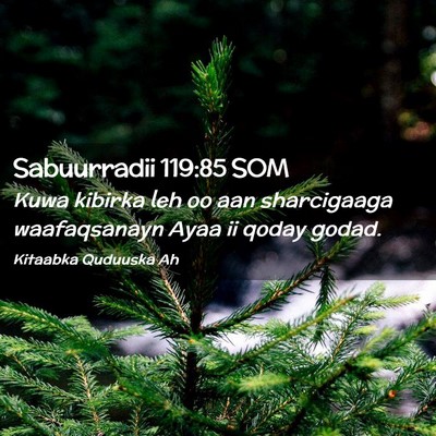 Picture 02 - Sabuurradii 119:85 SOM - Kuwa kibirka leh oo aan sharcigaaga waafaqsanayn - Bible Verse Picture