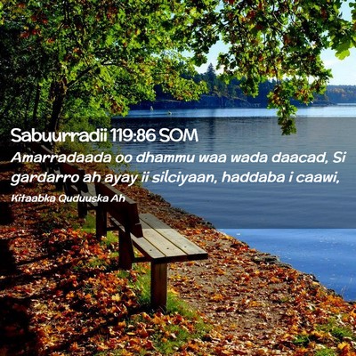 Picture 02 - Sabuurradii 119:86 SOM - Amarradaada oo dhammu waa wada daacad, Si - Bible Verse Picture