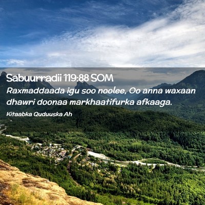 Picture 02 - Sabuurradii 119:88 SOM - Raxmaddaada igu soo noolee, Oo anna waxaan dhawri - Bible Verse Picture