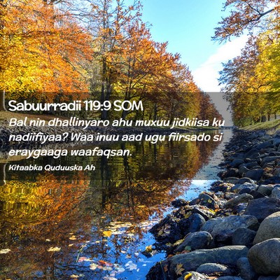 Picture 02 - Sabuurradii 119:9 SOM - Bal nin dhallinyaro ahu muxuu jidkiisa ku - Bible Verse Picture