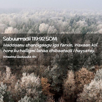 Picture 02 - Sabuurradii 119:92 SOM - Haddaanu sharcigaagu iga farxin, Waxaan kol hore - Bible Verse Picture