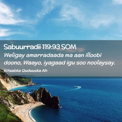Picture 02 - Sabuurradii 119:93 SOM - Weligay amarradaada ma aan illoobi doono, Waayo, - Bible Verse Picture