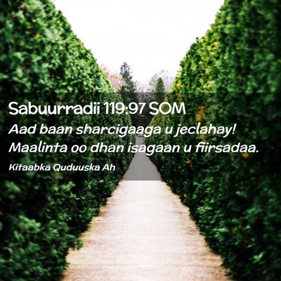 Picture 02 - Sabuurradii 119:97 SOM - Aad baan sharcigaaga u jeclahay! Maalinta oo dhan - Bible Verse Picture