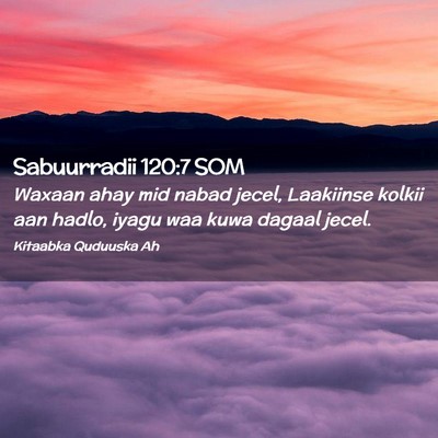 Picture 02 - Sabuurradii 120:7 SOM - Waxaan ahay mid nabad jecel, Laakiinse kolkii aan - Bible Verse Picture