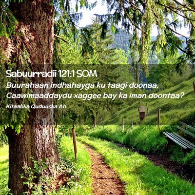 Picture 02 - Sabuurradii 121:1 SOM - Buurahaan indhahayga ku taagi doonaa, - Bible Verse Picture
