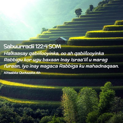 Picture 02 - Sabuurradii 122:4 SOM - Halkaasay qabiilooyinka, oo ah qabiilooyinka - Bible Verse Picture