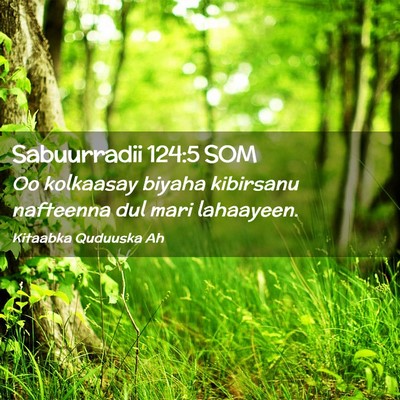 Picture 02 - Sabuurradii 124:5 SOM - Oo kolkaasay biyaha kibirsanu nafteenna dul mari - Bible Verse Picture