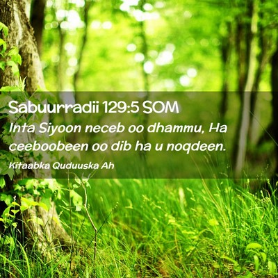 Picture 02 - Sabuurradii 129:5 SOM - Inta Siyoon neceb oo dhammu, Ha ceeboobeen oo dib - Bible Verse Picture