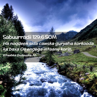 Picture 02 - Sabuurradii 129:6 SOM - Ha noqdeen sida cawska guryaha korkooda ka baxa - Bible Verse Picture