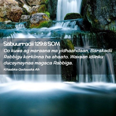 Picture 02 - Sabuurradii 129:8 SOM - Oo kuwa ag maraana ma yidhaahdaan, Barakadii - Bible Verse Picture