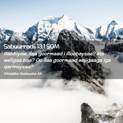 Picture 02 - Sabuurradii 13:1 SOM - Rabbiyow, ilaa goormaad i illoobaysaa? Ma weligaa - Bible Verse Picture