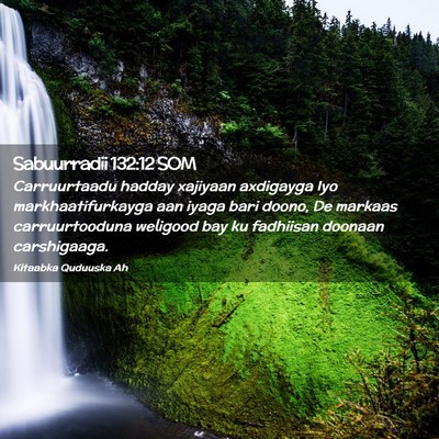 Picture 02 - Sabuurradii 132:12 SOM - Carruurtaadu hadday xajiyaan axdigayga Iyo - Bible Verse Picture