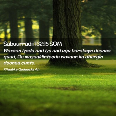 Picture 02 - Sabuurradii 132:15 SOM - Waxaan iyada aad iyo aad ugu barakayn doonaa - Bible Verse Picture