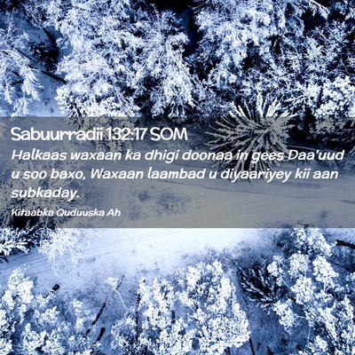 Picture 02 - Sabuurradii 132:17 SOM - Halkaas waxaan ka dhigi doonaa in gees Daa'uud u - Bible Verse Picture