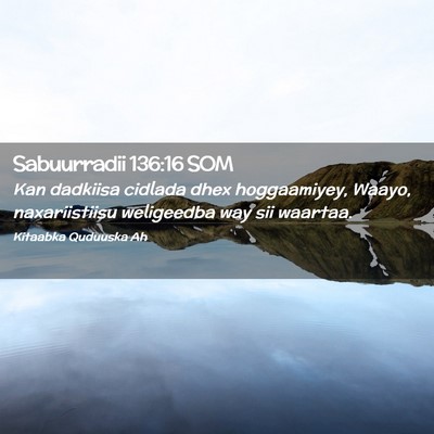 Picture 02 - Sabuurradii 136:16 SOM - Kan dadkiisa cidlada dhex hoggaamiyey, Waayo, - Bible Verse Picture