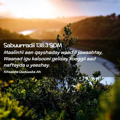 Picture 02 - Sabuurradii 138:3 SOM - Maalintii aan qayshaday waad ii jawaabtay, Waanad - Bible Verse Picture