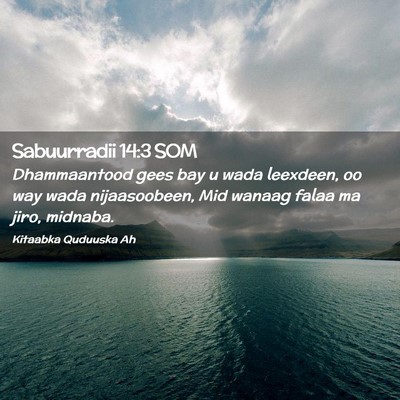Picture 02 - Sabuurradii 14:3 SOM - Dhammaantood gees bay u wada leexdeen, oo way - Bible Verse Picture