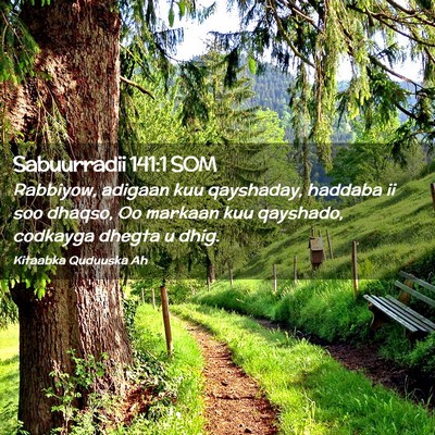 Picture 02 - Sabuurradii 141:1 SOM - Rabbiyow, adigaan kuu qayshaday, haddaba ii soo - Bible Verse Picture