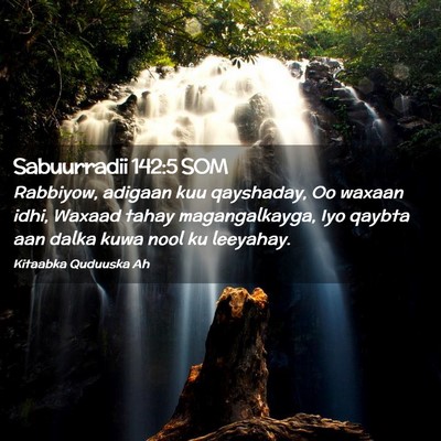 Picture 02 - Sabuurradii 142:5 SOM - Rabbiyow, adigaan kuu qayshaday, Oo waxaan idhi, - Bible Verse Picture