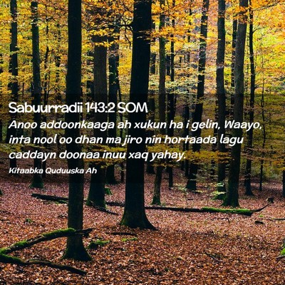 Picture 02 - Sabuurradii 143:2 SOM - Anoo addoonkaaga ah xukun ha i gelin, Waayo, inta - Bible Verse Picture