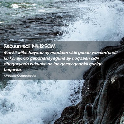 Picture 02 - Sabuurradii 144:12 SOM - Markii wiilashayadu ay noqdaan sidii geedo - Bible Verse Picture