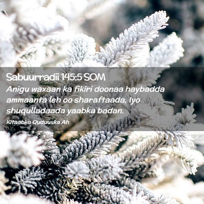 Picture 02 - Sabuurradii 145:5 SOM - Anigu waxaan ka fikiri doonaa haybadda ammaanta - Bible Verse Picture