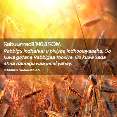 Picture 02 - Sabuurradii 146:8 SOM - Rabbigu indhahuu u bixiyaa indhoolayaasha, Oo - Bible Verse Picture