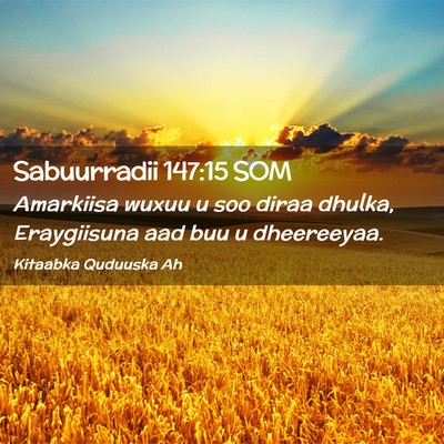 Picture 02 - Sabuurradii 147:15 SOM - Amarkiisa wuxuu u soo diraa dhulka, Eraygiisuna - Bible Verse Picture
