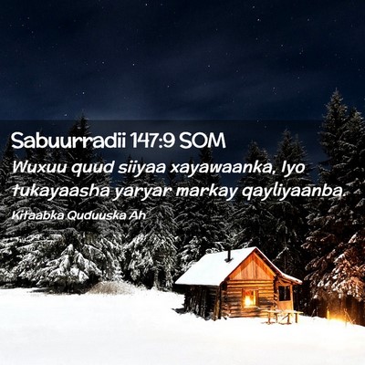 Picture 02 - Sabuurradii 147:9 SOM - Wuxuu quud siiyaa xayawaanka, Iyo tukayaasha - Bible Verse Picture