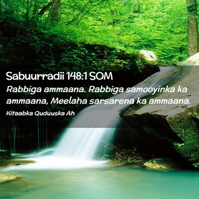 Picture 02 - Sabuurradii 148:1 SOM - Rabbiga ammaana. Rabbiga samooyinka ka ammaana, - Bible Verse Picture